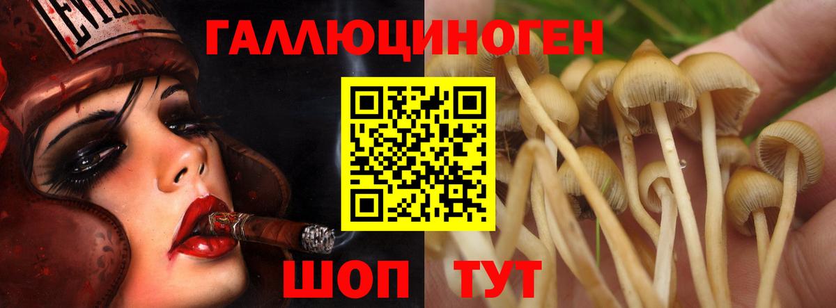 Галлюциногенные грибы GOLDEN TEACHER Менделеевск